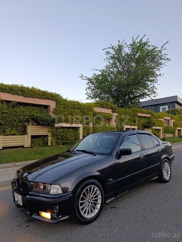 BMW 323-5