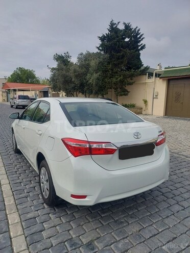 Toyota Corolla-8