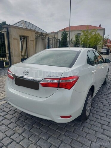 Toyota Corolla-7