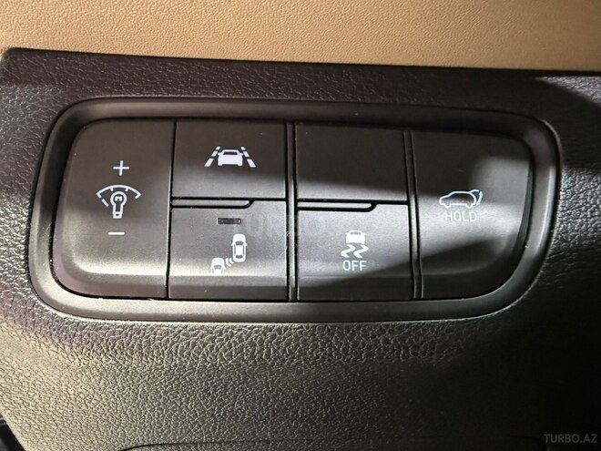Hyundai Santa Fe-22