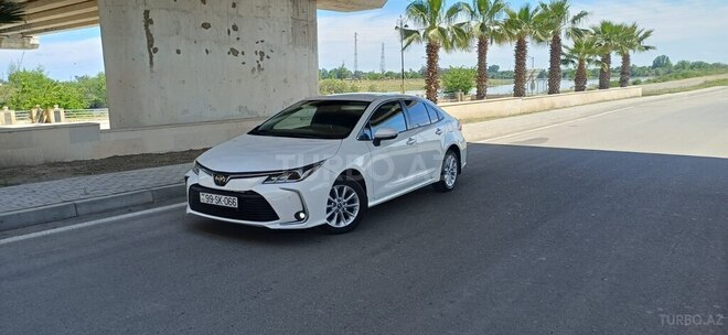 Toyota Corolla-4