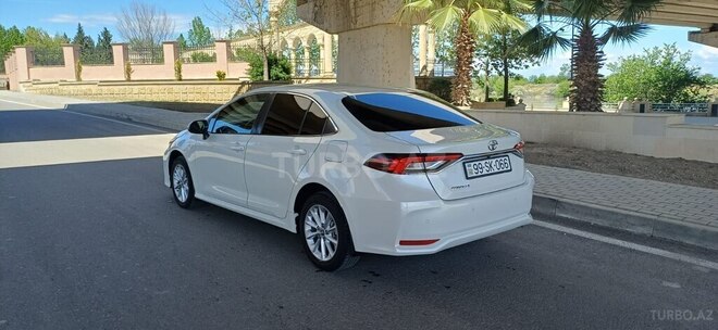 Toyota Corolla-6