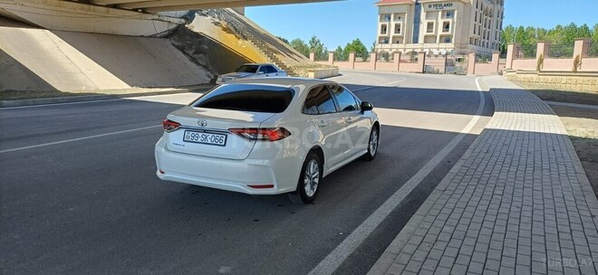 Toyota Corolla-7