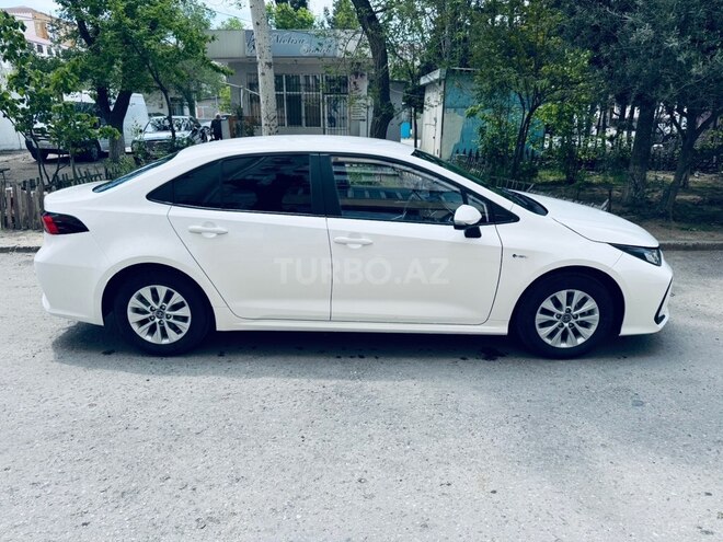 Toyota Corolla-3