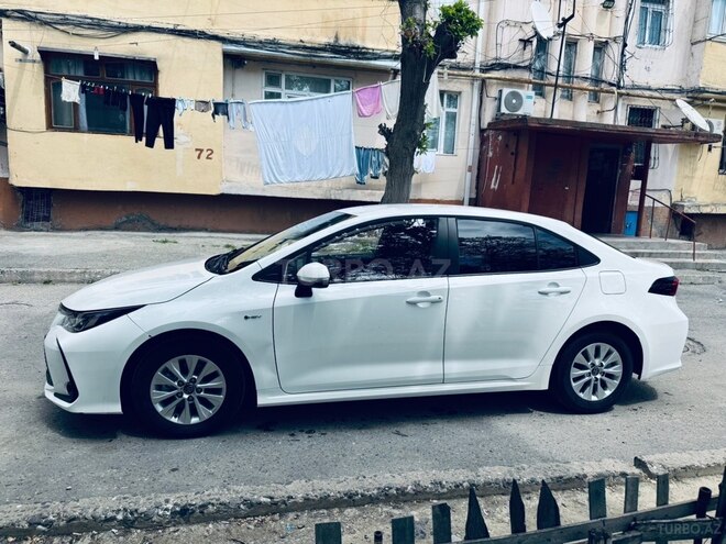Toyota Corolla-4