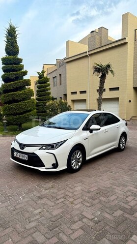 Toyota Corolla-3