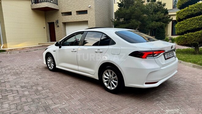 Toyota Corolla-7