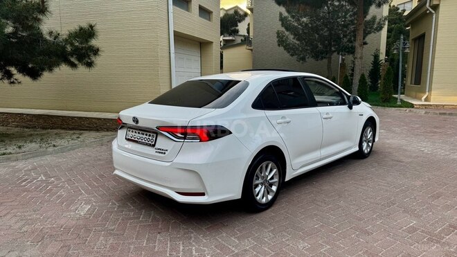 Toyota Corolla-6