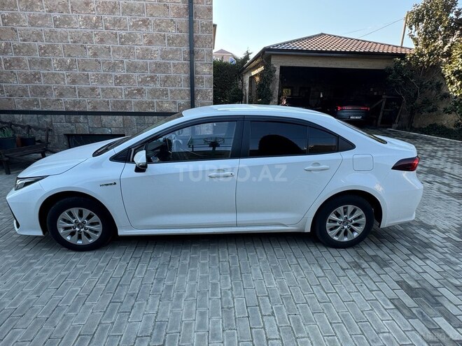 Toyota Corolla-4