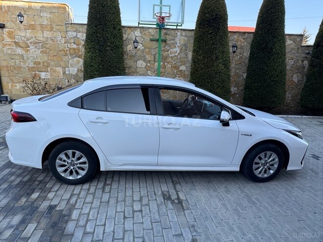 Toyota Corolla-3