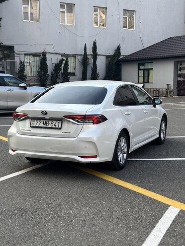 Toyota Corolla-6