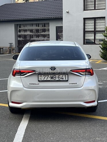Toyota Corolla-4