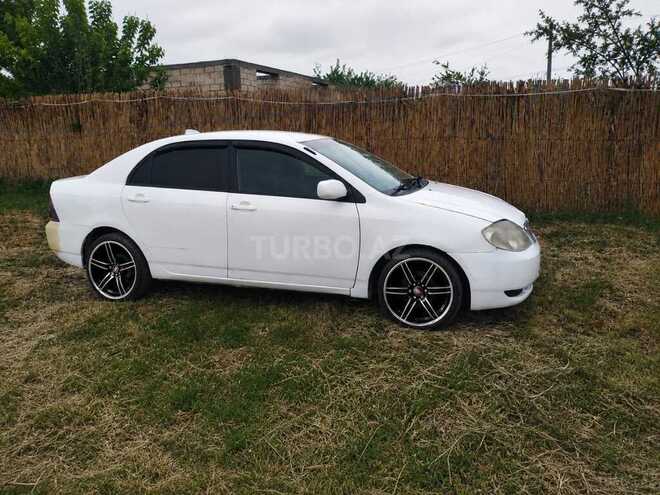 Toyota Corolla-2