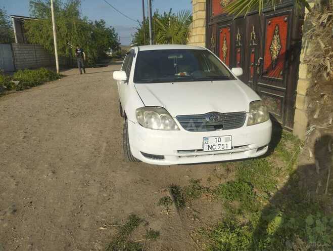 Toyota Corolla-4