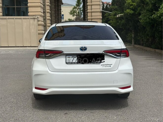 Toyota Corolla-3