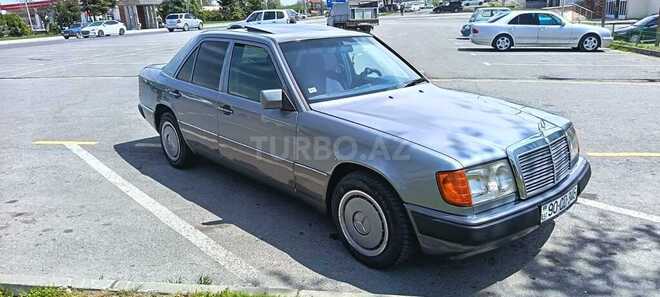 Mercedes 250 D-3