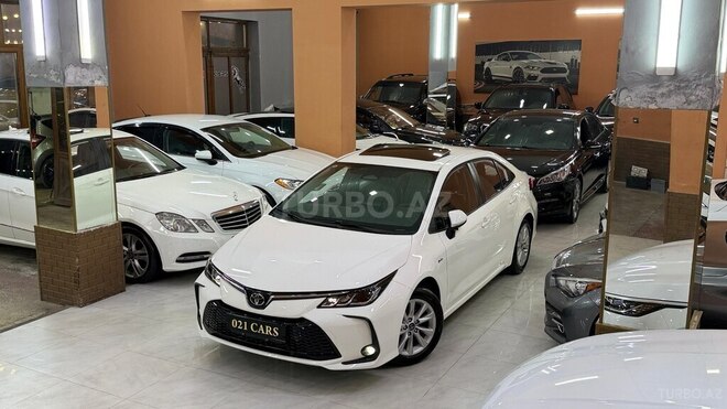 Toyota Corolla-7