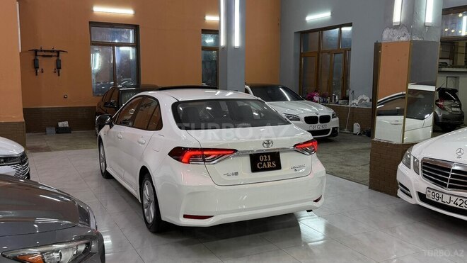 Toyota Corolla-20