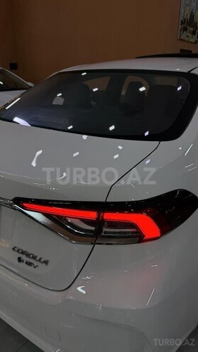 Toyota Corolla-23