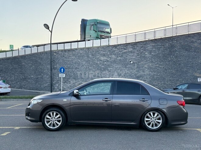 Toyota Corolla-6