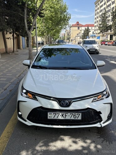 Toyota Corolla-1