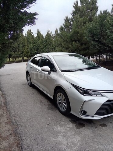 Toyota Corolla-4