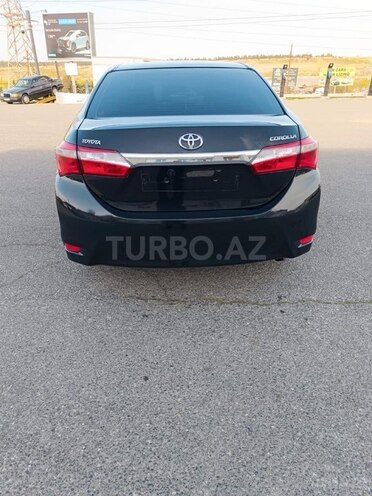 Toyota Corolla-5