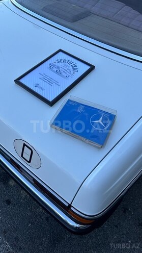 Mercedes W123-14