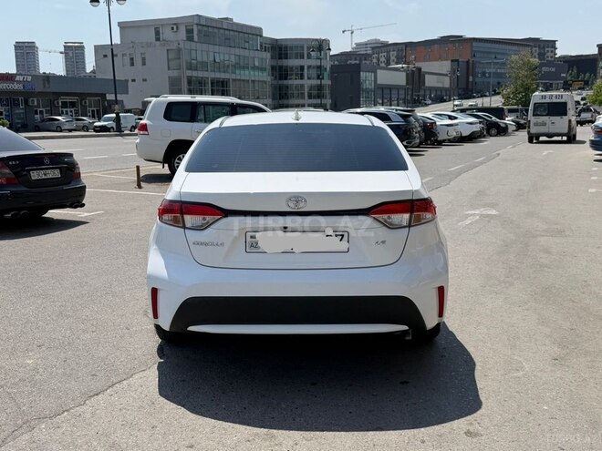 Toyota Corolla-6
