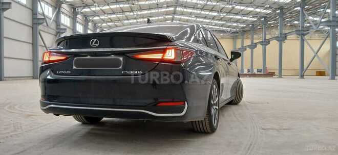 Lexus ES 300h-8