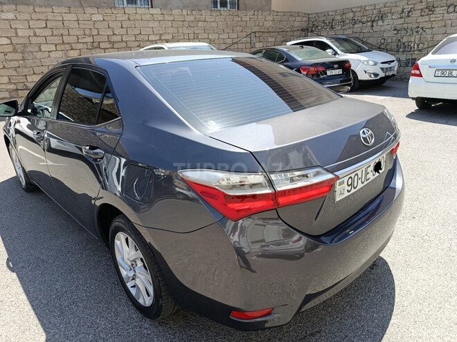 Toyota Corolla-4