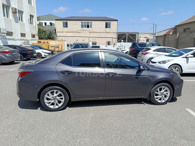 Toyota Corolla-7