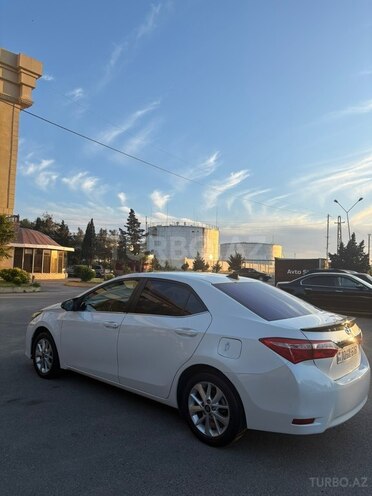 Toyota Corolla-4