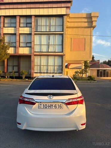 Toyota Corolla-8