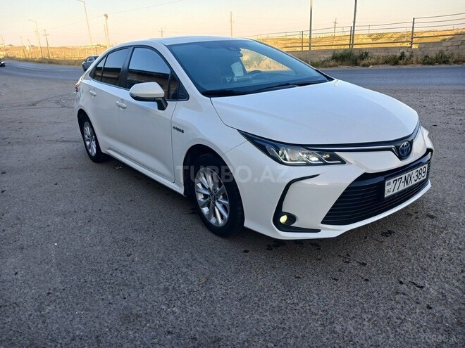 Toyota Corolla-6