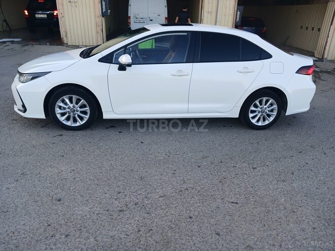 Toyota Corolla-4