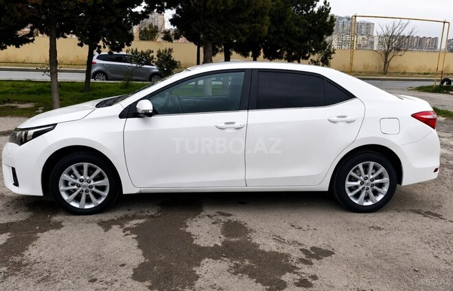 Toyota Corolla-5