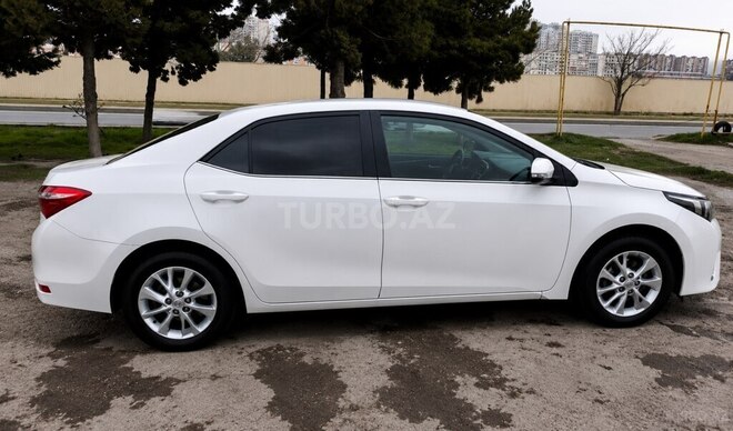 Toyota Corolla-4