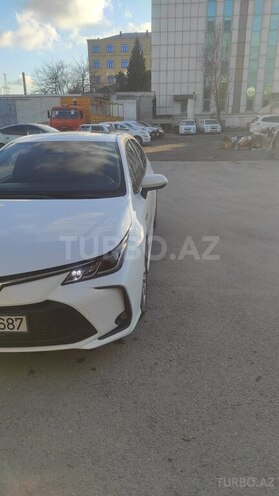 Toyota Corolla-3