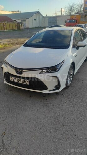 Toyota Corolla-9