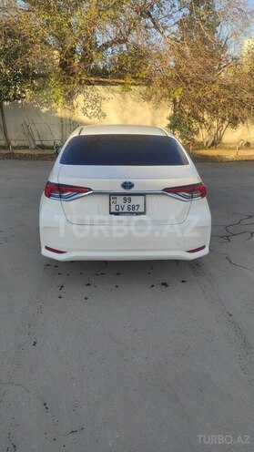 Toyota Corolla-11