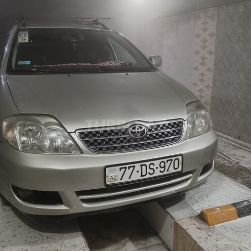 Toyota Corolla-6