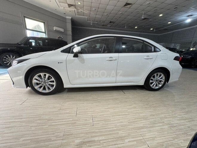 Toyota Corolla-2