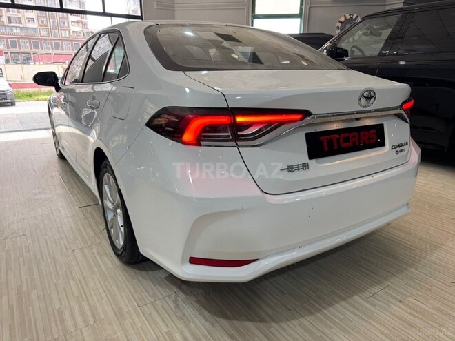 Toyota Corolla-6