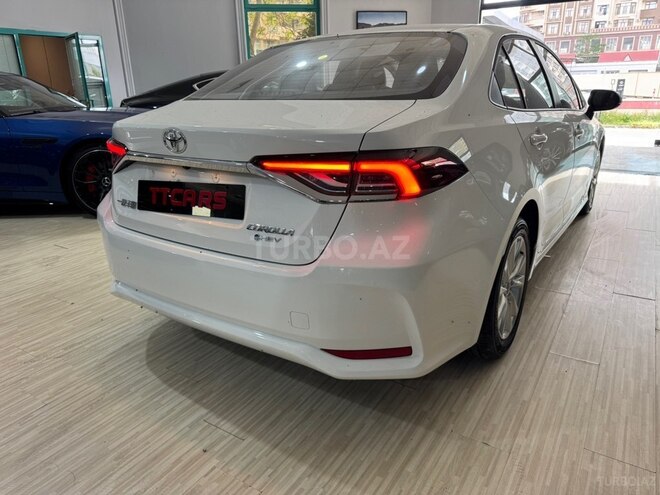 Toyota Corolla-7