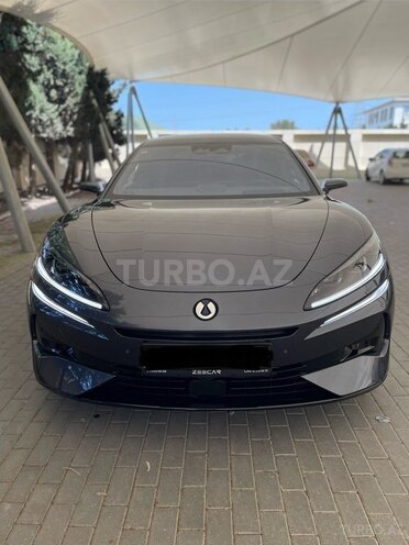 Denza Z9-1