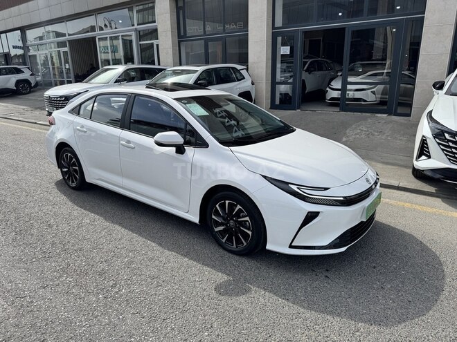 Toyota Corolla-6