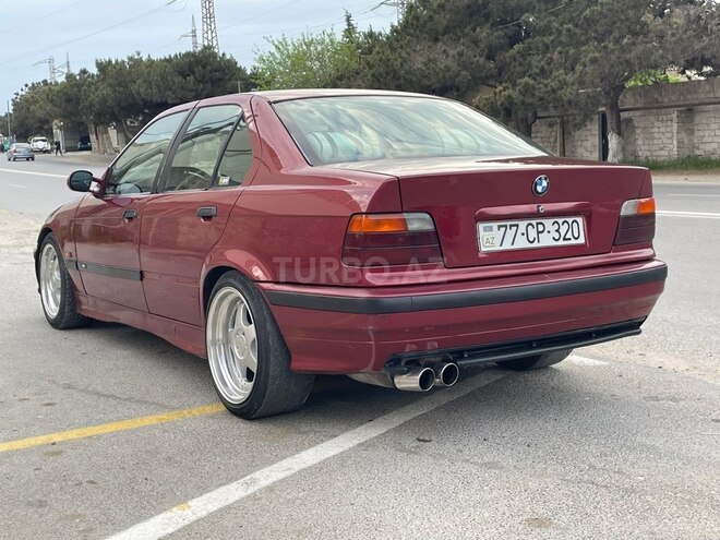 BMW 325-8