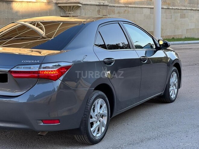 Toyota Corolla-6