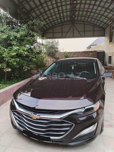 Chevrolet Malibu-1